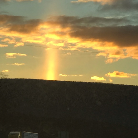 Meet your Posher, Daphne - Picture 1 of 1